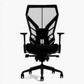 Ergonomische bureaustoel, kleur zwart en wit
