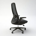 Ergonomische bureaustoel, kleur zwart